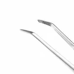 Peseta kątowa duża